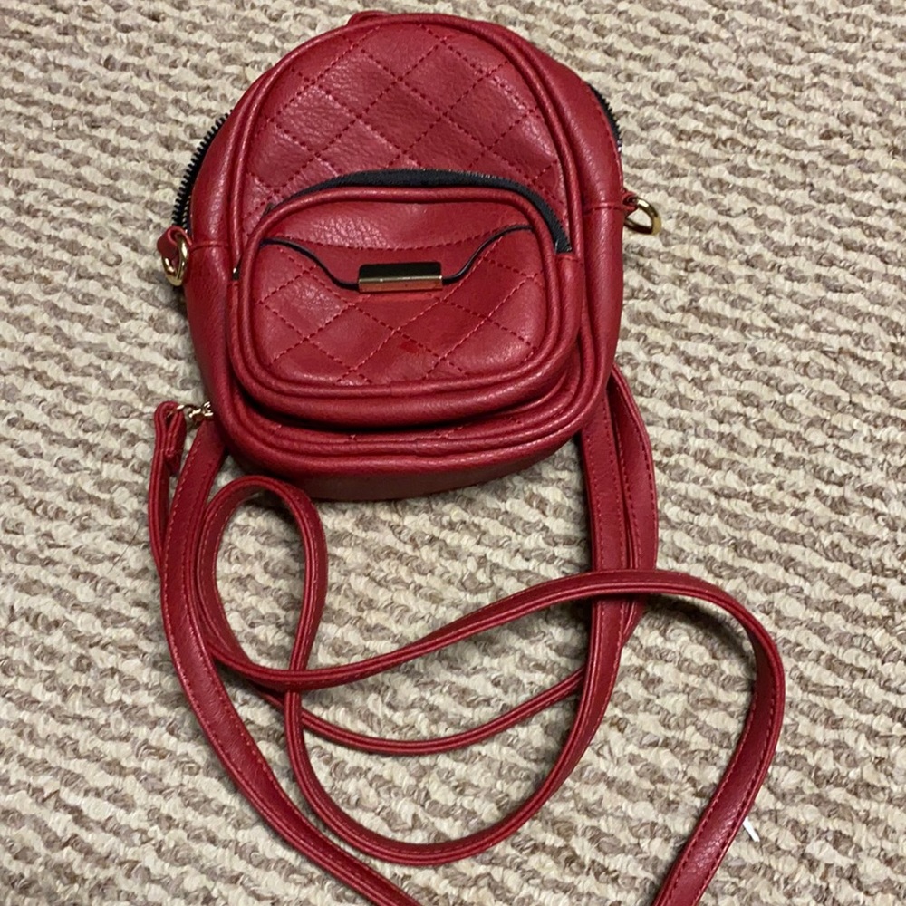 backpack/purse